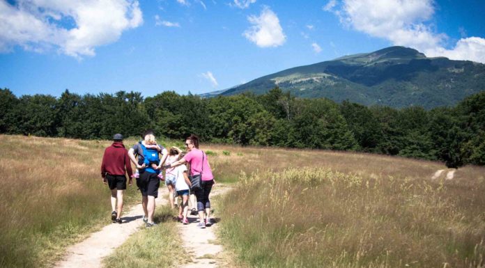 Do they speak English in Sofia Bulgaria? Do they speak English in Sofia Bulgaria?