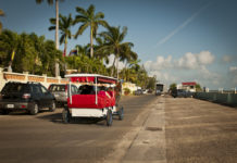 Do they speak English in Tbilisi Georgia? Do they speak English in Tbilisi Georgia?