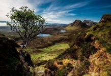 Do you get midges on the Isle of Skye? Do you get midges on the Isle of Skye?