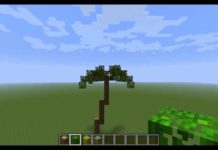 Do you need 2 macadamia trees? Do you need 2 macadamia trees?