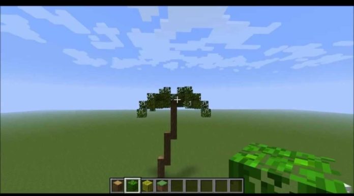 Do you need 2 macadamia trees? Do you need 2 macadamia trees?