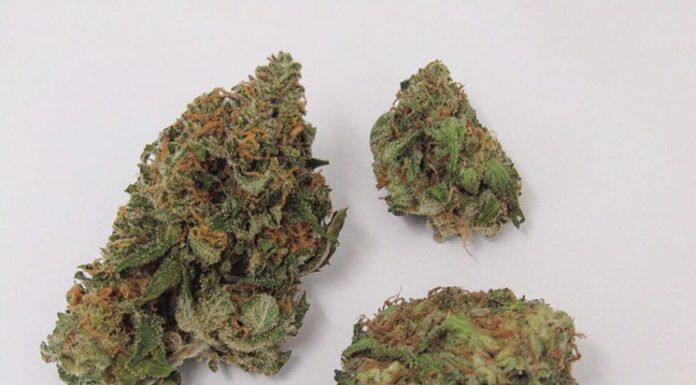 Do you need to be vaccinated to go to the Edge NYC? Do you need to be vaccinated to go to the Edge NYC?