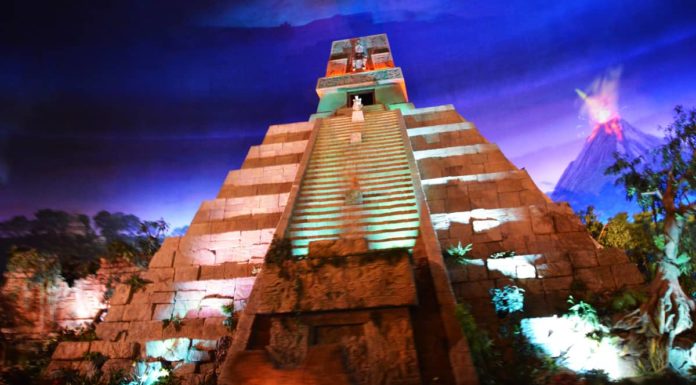 Does Animal Kingdom have character dining? Does Animal Kingdom have character dining?