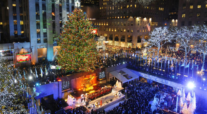 Does Central Park have Christmas Lights? Does Central Park have Christmas Lights?