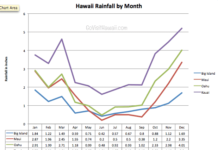 Does Costa Rica have good nightlife? Does Costa Rica have good nightlife?