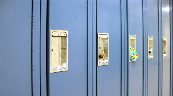 Does Disneyland have large lockers? Does Disneyland have large lockers?
