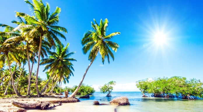 Does Izmir have good beaches? Does Izmir have good beaches?