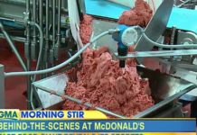Does Mcdonalds use halal meat? Does Mcdonalds use halal meat?