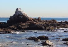 Does Santa Monica have nice beaches? Does Santa Monica have nice beaches?