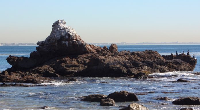 Does Santa Monica have nice beaches? Does Santa Monica have nice beaches?