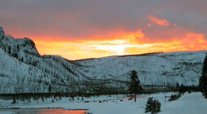 Does Yellowstone close during the winter? Does Yellowstone close during the winter?