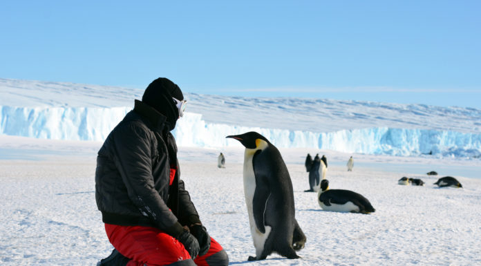 Does anyone live in the Arctic Circle? Does anyone live in the Arctic Circle?