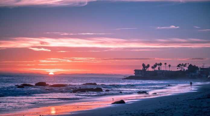 Does it cost to go to Venice Beach? Does it cost to go to Venice Beach?