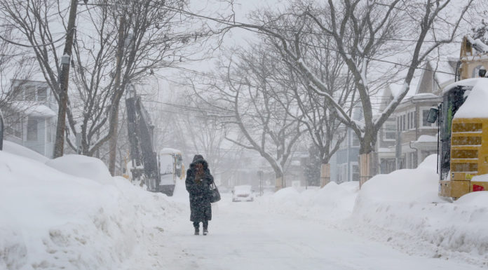 Does it snow in Osaka? Does it snow in Osaka?