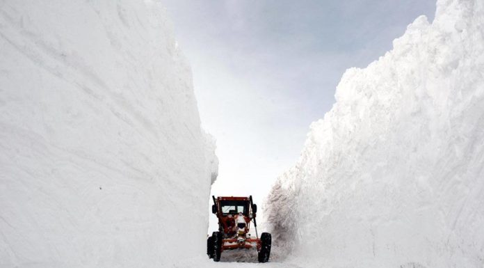 Does it snow in Oslo January? Does it snow in Oslo January?