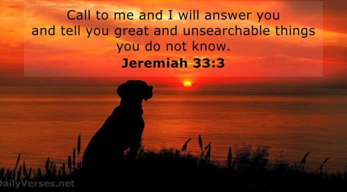 Does the Beacham have cover? Does the Beacham have cover?