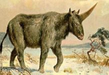 Est-ce que le Concorde existe encore ? Est-ce que le Concorde existe encore ?