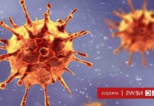 Est-il dangereux d’aller aux Maldives ? Est-il dangereux d'aller aux Maldives ?