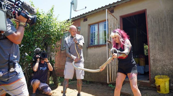 Has Snake City Simon ever been bitten? Has Snake City Simon ever been bitten?