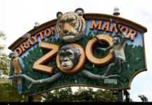 Has there been any accidents at Drayton Manor? Has there been any accidents at Drayton Manor?