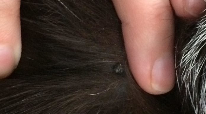 How can I check if my flight is confirmed? How can I check if my flight is confirmed?