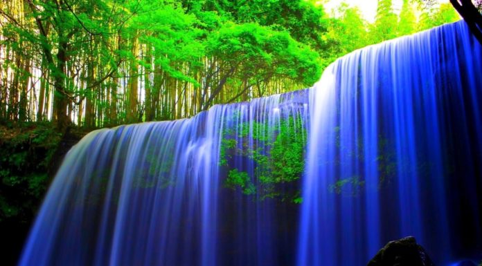 How can I get a free upgrade? How can I get a free upgrade?