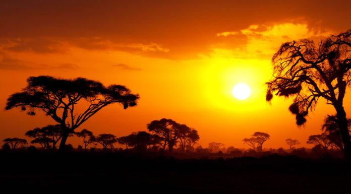 How can I go to America from Kenya? How can I go to America from Kenya?