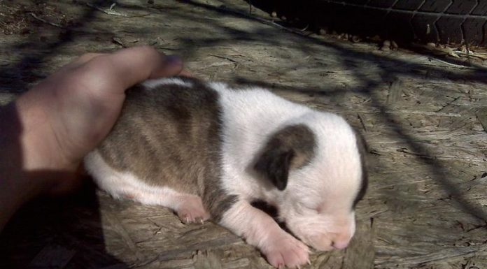 How can I register my SIM in my name? How can I register my SIM in my name?