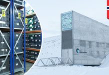 How cold is the seed bank? How cold is the seed bank?