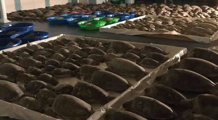 How cold is too cold for diving? How cold is too cold for diving?