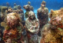 How deep is Discover scuba? How deep is Discover scuba?