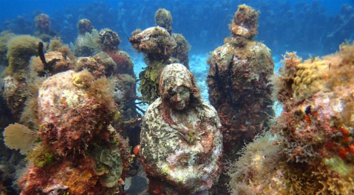 How deep is Discover scuba? How deep is Discover scuba?