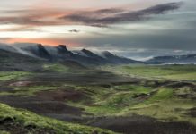 How did lupine get to Iceland? How did lupine get to Iceland?