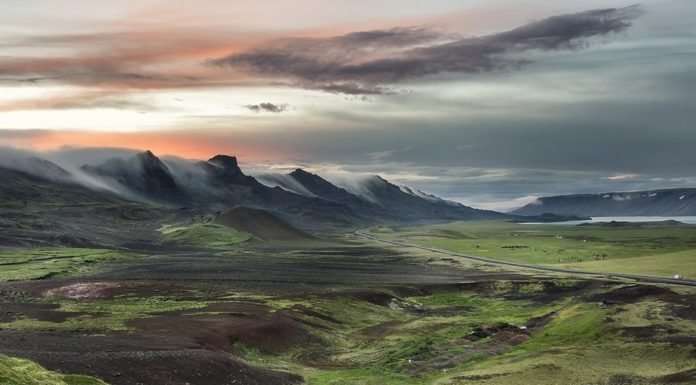 How did lupine get to Iceland? How did lupine get to Iceland?