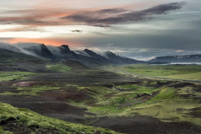 How did lupine get to Iceland?