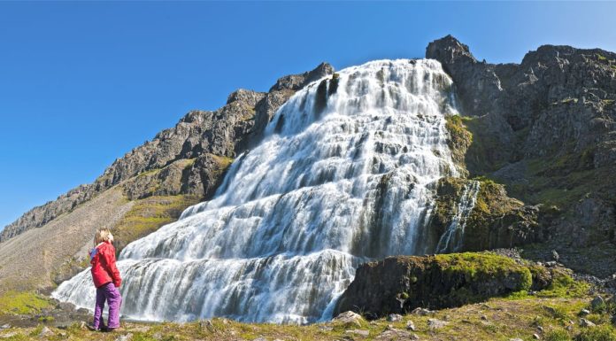 How do I book a flybus in Iceland? How do I book a flybus in Iceland?