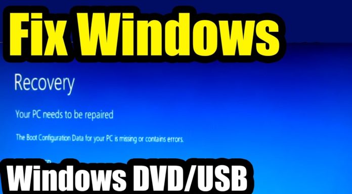 How do I fix code bee? How do I fix code bee?