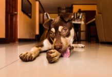 How do I spend a day in Alexandria? How do I spend a day in Alexandria?