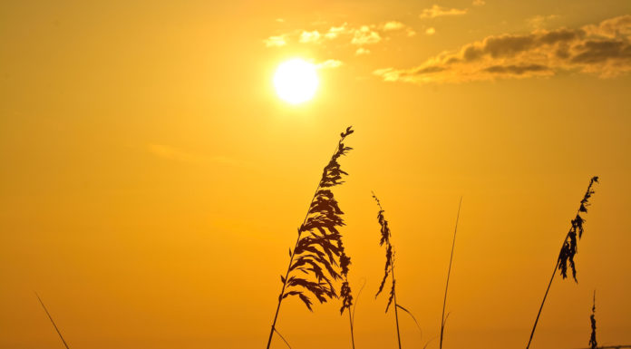 How do you avoid spring breaks in Cancun? How do you avoid spring breaks in Cancun?