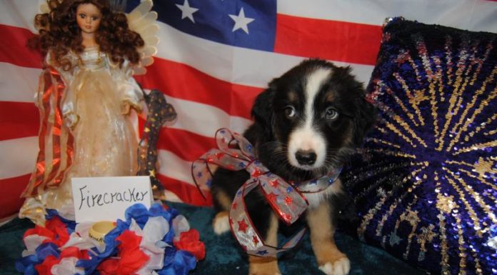 How do you carry a camera while hiking? How do you carry a camera while hiking?