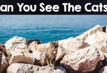 How do you color an object in rhino? How do you color an object in rhino?