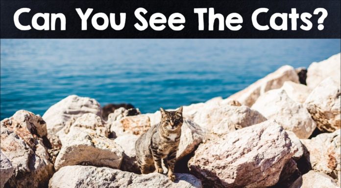 How do you color an object in rhino? How do you color an object in rhino?