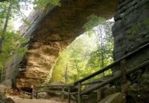 How do you do a bridge walk? How do you do a bridge walk?