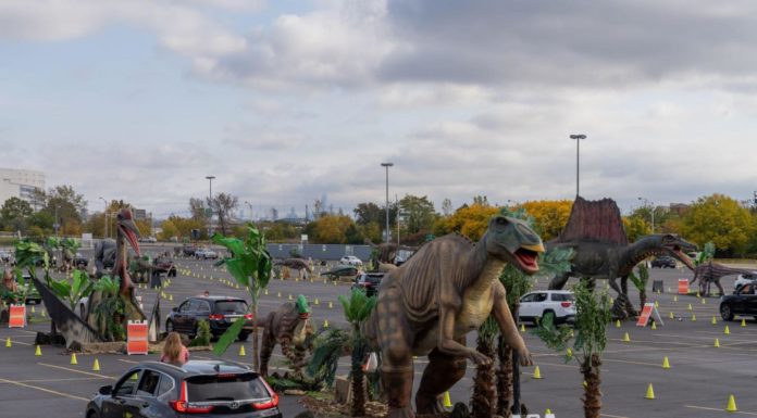 How do you do the Laser Quest? How do you do the Laser Quest?