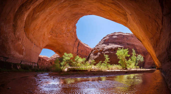 How do you fly with a large group? How do you fly with a large group?