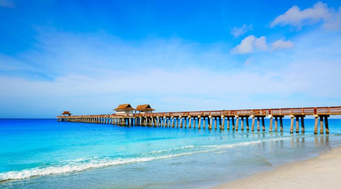 How do you get grouper off a pier? How do you get grouper off a pier?