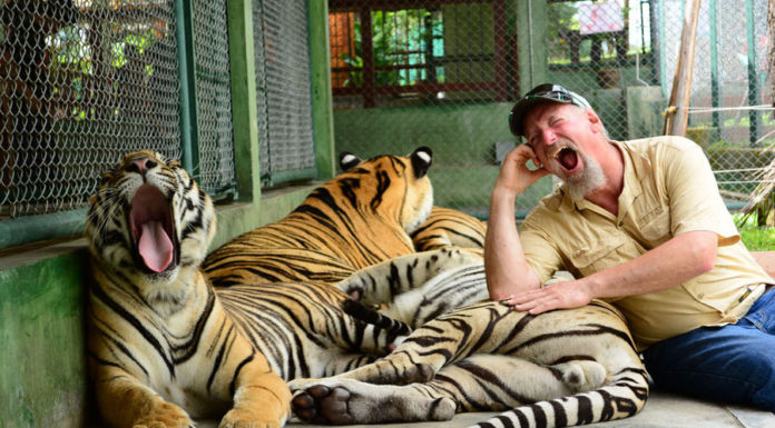 How do you get to Koh Lipe from Pattaya? How do you get to Koh Lipe from Pattaya?