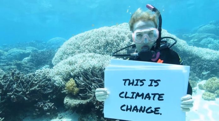 How do you get to Mackay from the Great Barrier Reef? How do you get to Mackay from the Great Barrier Reef?