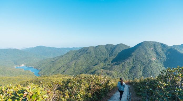 How do you get to Twin Peaks Hong Kong? How do you get to Twin Peaks Hong Kong?
