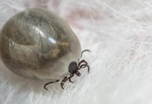 How do you know what size kimono to get? How do you know what size kimono to get?